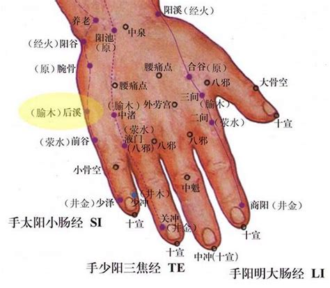 人体手部穴位图（高清详解） 手掌穴位图解大全 - 知乎