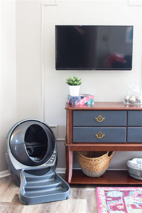 Is the Litter-Robot a Must-Have Cat Item?!