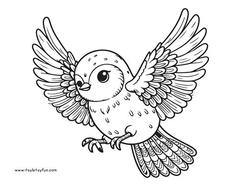 Free Printable Bird Coloring Pages for Kids - Itsy Bitsy Fun