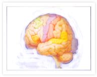 Niramay Rehab,Solapur ,Dr. Sandip Bhagwat Physiotherapist Solapur ...