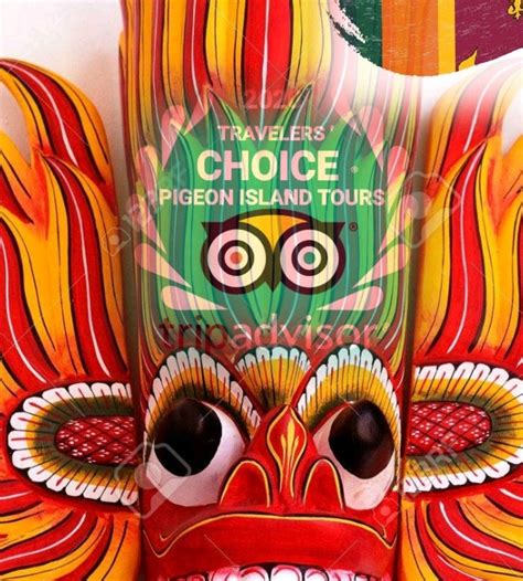 PIGEON ISLAND TOURS (2026) All You Need to Know BEFORE You Go (with ...