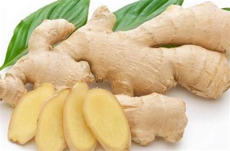 manfaat bawang putih jahe lemon madu