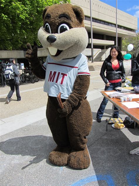 Mit College Mascot at Esperanza Bruns blog