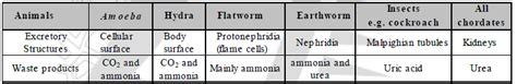 Excretion In Plant and Animals Class 10 Notes Science Free PDF