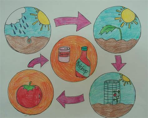 poster of soil conservation - Brainly.in