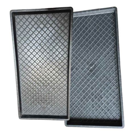 Buy Microgreen Tray Set of 2 Online India | Tray with & Without Holes ...
