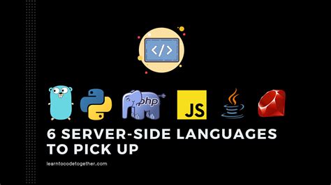 zybooks programming languages