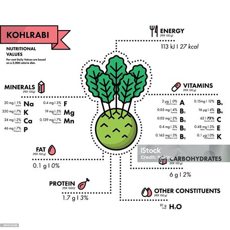 Kohlrabi Nutritional Information Healthy Diet Stock Illustration - Download Image Now ...