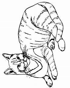 ausmalbilder katze ausdrucken ausmalbilder katze kostenlos malvorlagen zum ausdrucken ausmalbilder katze ausdrucken ausmalbilder katze kostenlos malvorlagen zum ausdrucken
