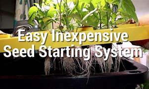 Image result for Seed Starting System