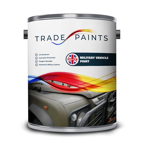 Buy Vehicle Paint - Satin Finish - 5 Litre (Black) Online at ...