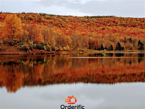 Minimum wage West Virginia: Understanding Compensation Norms