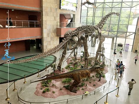 2022河源恐龙博物馆游玩攻略,特别是馆藏16000多枚恐龙蛋化...【去哪儿攻略】