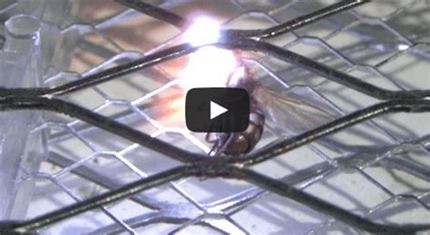 Fly Exploding 的图像结果