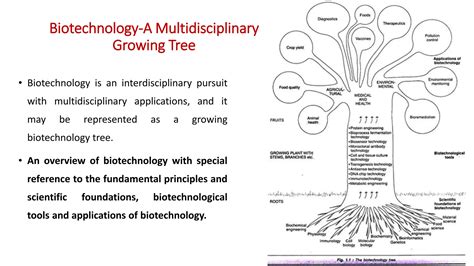 Biotechnology Basic Concepts 的图像结果