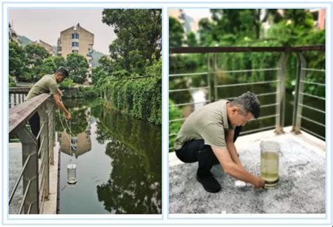 台州市治水办联合椒江区、集聚区治水办开展大巡河活动-国际环保在线