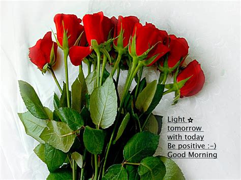 Good Morning Rose Wallpapers - Wallpaper Cave