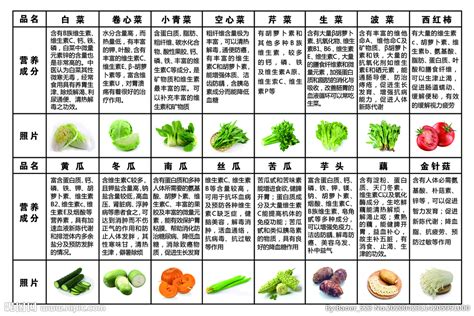 蔬菜种子四季播种阳台农家庭院盆栽生菜菠菜韭菜香菜草莓籽葱菜种-阿里巴巴