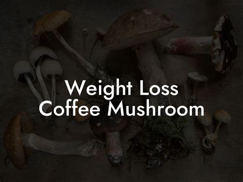 Weight Loss Coffee Mushroom - Mr Mushroom