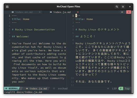 Using NvChad - Documentation