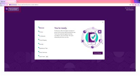 Going full private/dark on the net with Tor? - General Discussion - Tor ...