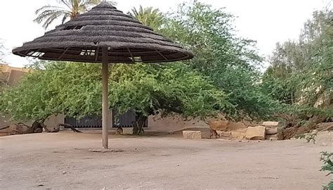 RIYADH ZOO - All You SHOULD Know Before Going 2026 (with Photos ...