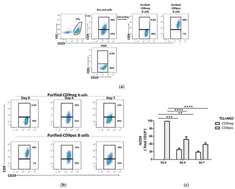 In Vitro Characterization of Human CD24hiCD38hi Regulatory B Cells ...