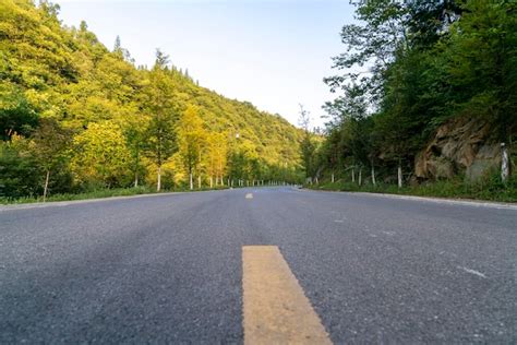High asphalt road in the forest | Premium Photo