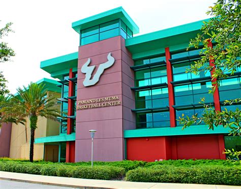 [100+] University Of South Florida Wallpapers | Wallpapers.com
