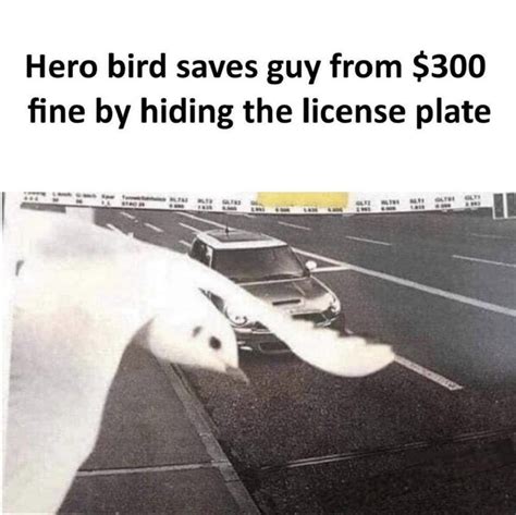 Not all hero wear capes : r/SipsTea