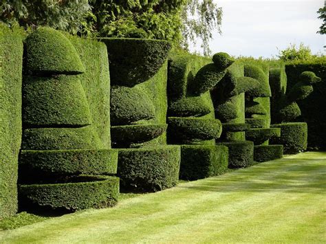 Hedge Maze Meaning