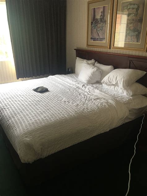 THE MARX HOTEL - DOWNTOWN - UNIVERSITY AREA (Oneonta) - Hotel Reviews ...