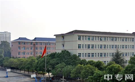 岳阳县职业中等专业学校地址在哪、电话、官网网址|中专网