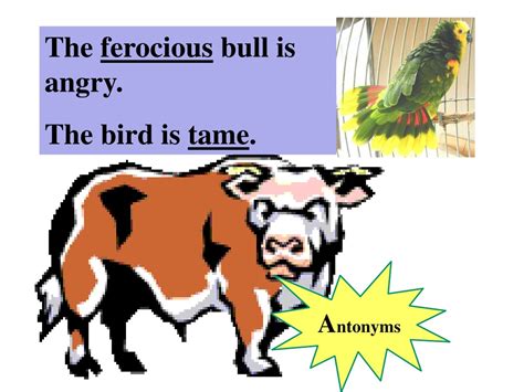 Synonyms Of Ferocity