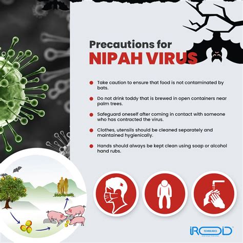 nipah virus infection kerala