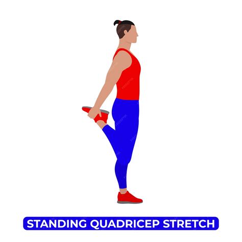 Premium Vector | Vector Man Doing Standing Quadricep Stretch An ...