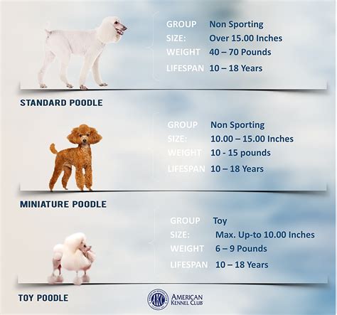 How Big Are Poodles Weight