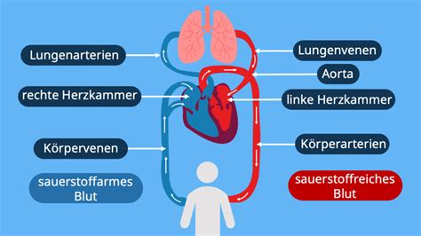 Image result for What Does a Python Program Look Like