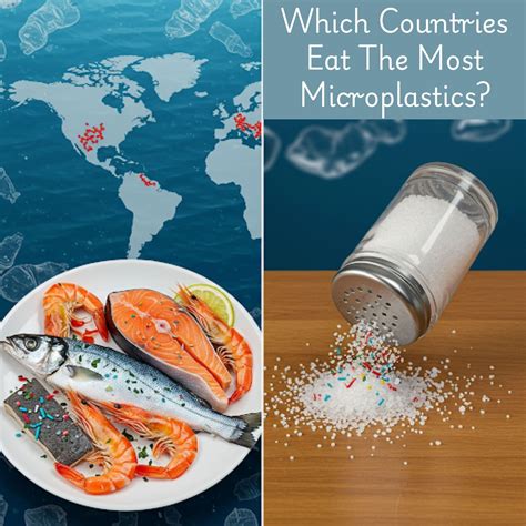 Microplastics: What They Are, Where They Come From, and How to Reduce – Gaia Guy