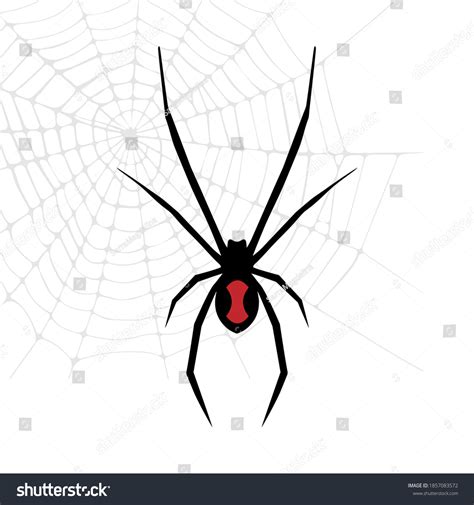 Black Widow Spider Web Drawing