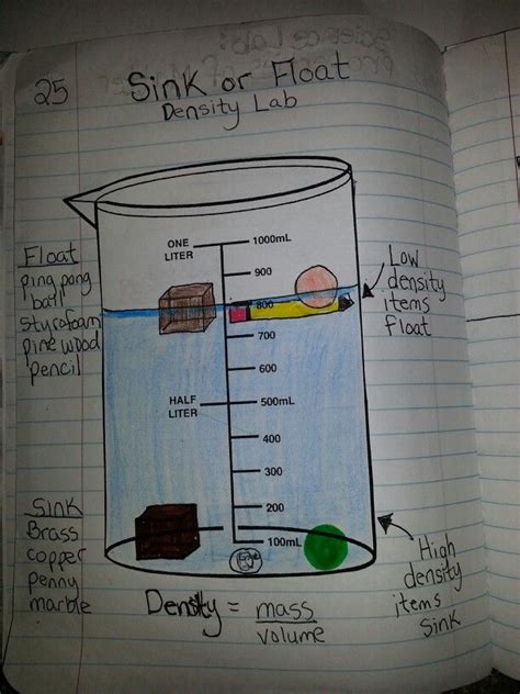 Image result for Measuring Density Lab
