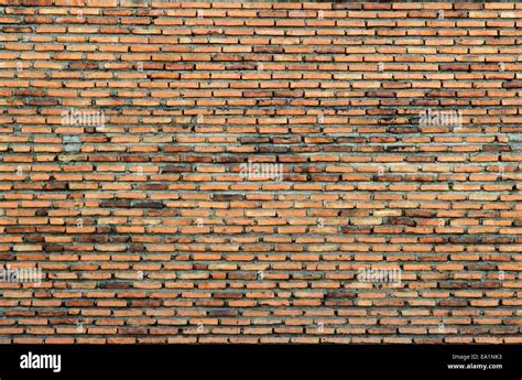Image result for Brick Color Randomizer Script