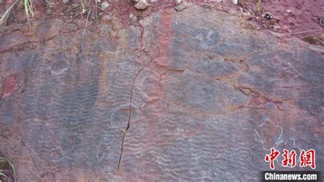 贵州省仁怀市茅台镇再次发现恐龙足迹化石 初步判断属于侏罗纪早期兽脚类恐龙 - 神秘的地球 科学|自然|地理|探索