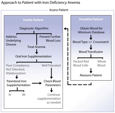 Iron deficiency anemia. - Abstract - Europe PMC