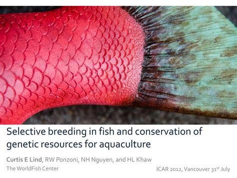 Selective breeding in fish and conservation of genetic resources for aquaculture | PPTX