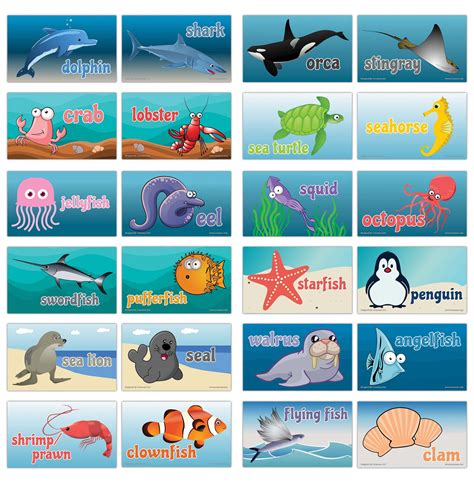 Terrifying Sea Creatures Flash Cards 的图像结果