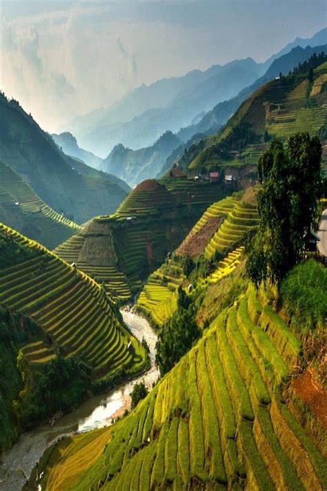 Image result for Vietnam Shell Exploding