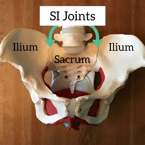 Sacroiliac Joint Pain Pregnancy SI Joint Pain And Pregnancy