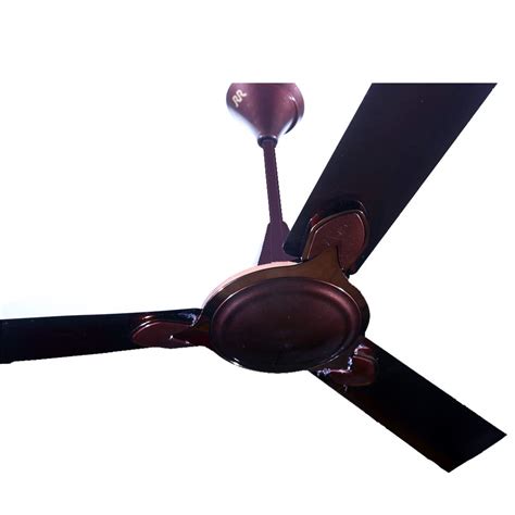Buy RR Electric Celerity Ceiling Fan (Brown) Online at Low Prices in ...