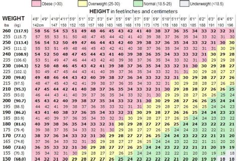 BMI 계산기 | 가장 쉽게 체질량지수(비만도)를 확인하는 방법!